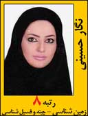 نگار حسینی رتبه 8 کارشناسی ارشد زمین شناسی سال 1392