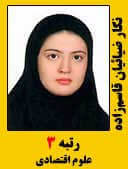 نگار ضیائیان قاسم زاده رتبه 3 کارشناسی ارشد علوم اقتصادی سال 1396