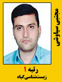 مجتبی سیاوشی رتبه 1 کارشناسی ارشد زیست شناسی گیاه سال 1398