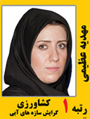 مهدیه عظیمی رتبه 1 کارشناسی ارشد کشاورزی سازه های آبی سال 1391