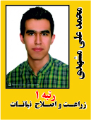 محمد علی مشهدی رتبه 1 کارشناسی ارشد زراعت و اصلاح نباتات سال 1402